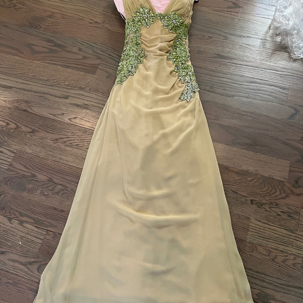 Mandalay Chiffon and Beaded Gown in Size 4
